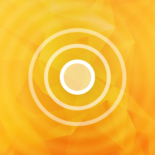 Внутренний круг (круг контроля)