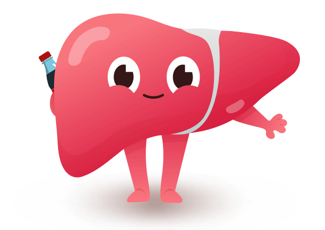 liver
